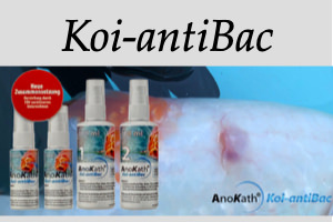 Wundversorgung Anokath® Koi-antiBac